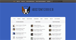 Desktop Screenshot of ibostonterrier.com